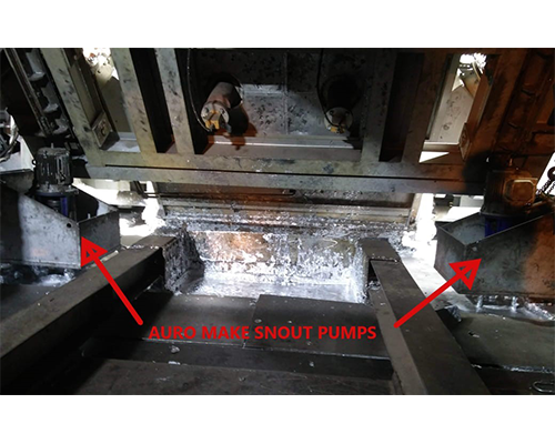 Snout Pumps